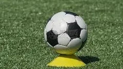 检方对炎亚纶强制猥亵案作出不起诉决定