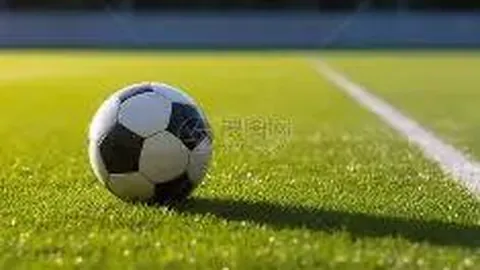 卢专家：加兰伦纳德似十年前欧文詹姆斯